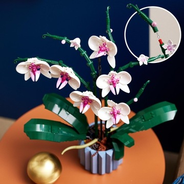 LEGO ICONS 10311 Orchidea