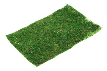 Zielona Mata z Mchu Mech do dekoracji stroik 20x30