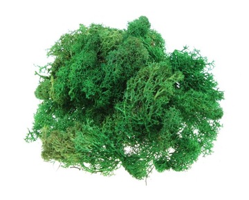 Mech Chrobotek 1KG Reniferowy zielony naturalny 1000g