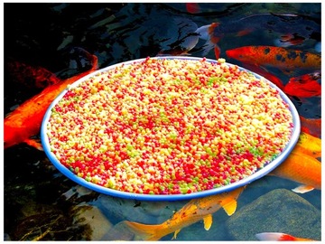 КОРМУШКА ДЛЯ КОРМОВ РЫБ KOI FOOD POND