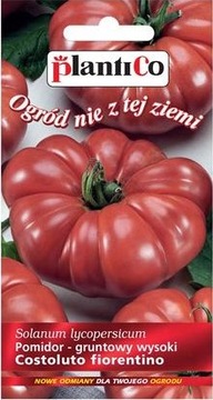 POMIDOR COSTOLUTO FIORENTINO 0,2 g GRUNTOWY WYSOKI