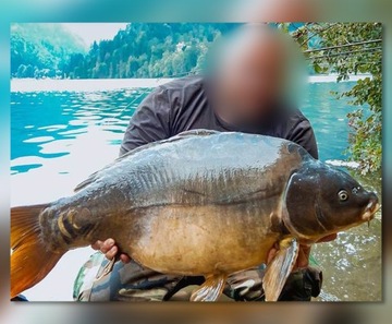 КАТУШКА MISTRALL ZAXO CARP FRD 5000