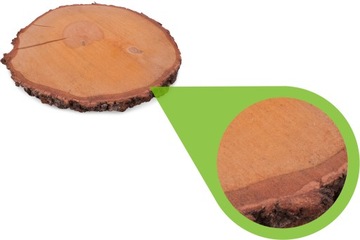 Plastry drewniane 33-38 cm BRZOZA