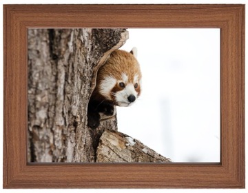 Рамка для фото Italia 15x21 ПОРОШКОВАЯ РОЗОВАЯ