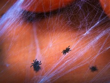 ДЕКОРАТИВНЫЕ КОНФЕТТИ МАЛЕНЬКИЕ ПАУКИ ДЕКОРАТИВНЫЕ ПАУКИ ДЛЯ ХЭЛЛОУИНА ЧЕРНЫЕ 15г