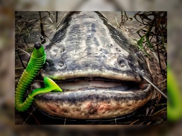 Рыболовные клещи Savage Gear 22,5 см