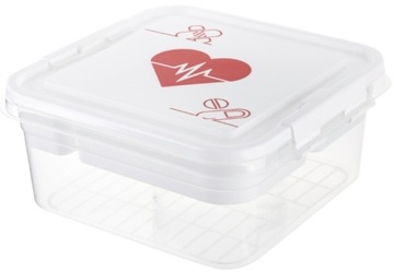 POJEMNIK NA LEKARSTWA ORGANIZER NA LEKI TABLETKI OPATRUNKI NICI APTECZKA