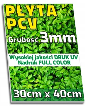 SZYLD REKLAMOWY Płyta PCV 3mm Tablica 30cm x 40cm