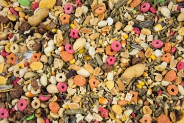 NATURALNY POKARM 4 PORY ROKU DLA KRÓLIKA GRYZONI