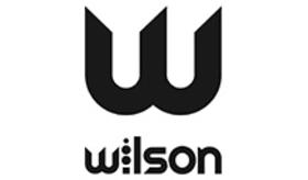 АКТИВНЫЙ САБВУФЕР 250 Вт WILSON SUB 12 WHITE BASS
