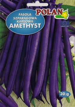 Fasola FIOLETOWA AMETHYST karłowa 30g nasiona