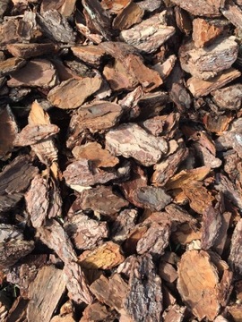 39шт*КОРА СОСНОВАЯ*ТОЛСТАЯ 60+ Отбирается вручную