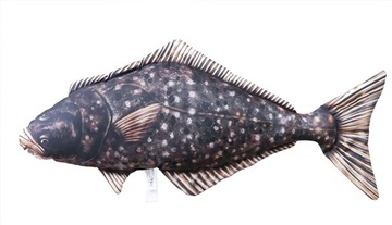 GABY pluszak ryba zabawka poduszka HALIBUT 72cm
