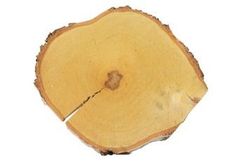 Брусочки деревянные 28-38 см БЕРЕЗА, свадебное украшение.