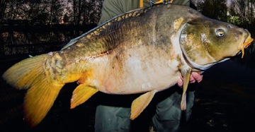 Пресс для наживки MISTRALL LARGE XL