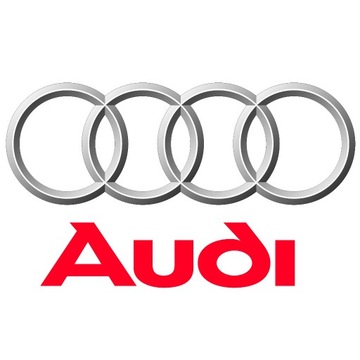 Экстрактор ключей для магнитолы AUDI SKODA SEAT FORD VW