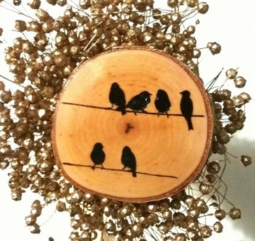 Plastry drewniane 33-38 cm BRZOZA