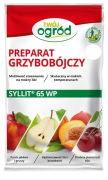 Фунгицид SYLLIT 65 WP 45г