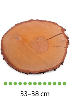 Plastry drewniane 33-38 cm BRZOZA