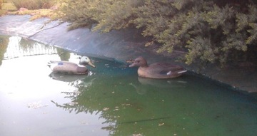 Декоративная фигурка утки, приманка в натуральную величину