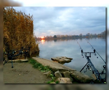 БЛОК УПРАВЛЕНИЯ MISTRALL RS 4+1 КОМПЛЕКТ СИГНАЛИЗАЦИИ