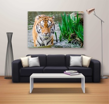 ПОСТЕР А1 - МЕЛ ГЛЯНЦЕВЫЙ - 5 шт - СУПЕР КАЧЕСТВО