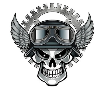 ЧЕРЕП ЧЕРЕП ЗВЕЗДОЧКА МОТОЦИКЛОВЫЕ ОЧКИ УФ-СТИКЕРА