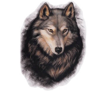 NAKLEJKA GRAFIKA WILK WILD WOLF FILTR UV