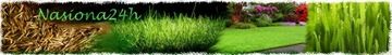 Nasiona traw dla Ptaków - naturalny pokarm