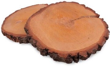 Plastry drewniane 33-38 cm BRZOZA