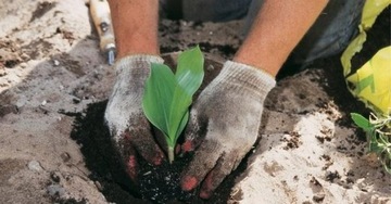 ПЕРЧАТКИ ЗАЩИТНЫЕ РАБОЧИЕ ДЛЯ ВАМПИРОВ XL 10 шт.