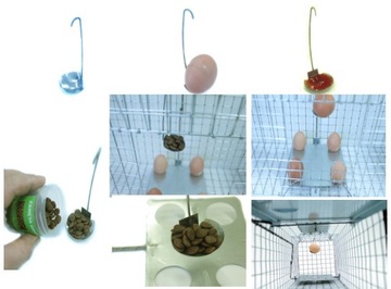 КЛЕТКА-ЛОВУШКА ДЛЯ МУЖЧИН ЛОСКИ КОШКИ ГРЫЗУНЫ 102х17х20 СМ + БЕСПЛАТНО