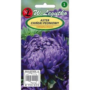 Nasiona astry Aster peoniowy fioletowy 1 g