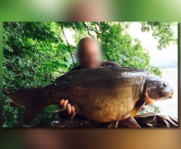 СТУЛ СО СПИНКОЙ СТУЛ МИСТРАЛЛ размер L