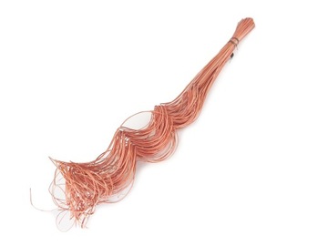 BUKIET rattan DEKORACJA z SUSZU pomarańczowa susz egzotyczny 70 cm