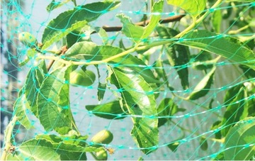 ЗАЩИТНАЯ СЕТЬ ДЛЯ ПТИЦ, НАЧИНКИ, БОЛЬШАЯ, ПРОЧНАЯ ОТ ПТИЦ-ВРЕДИТЕЛЕЙ, 8X14 М