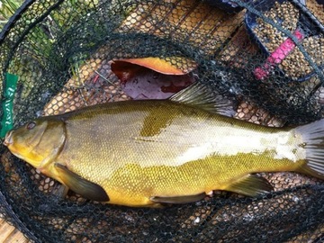 КРЮЧОК MISTRAL ДЛЯ БОЛЬШИХ КРЮЧКОВ