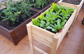 Гербарий, огород, сад, смотровой ящик