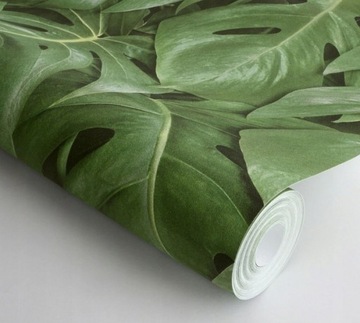 Обои Раш 441802