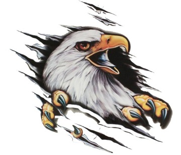 NAKLEJKA TATUAŻ ORZEŁ EAGLE METAL DUŻY TIR