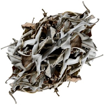 BIAŁA SZAŁWIA SALVIA APIANA WYSOKA JAKOŚĆ 25g