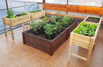 ЗЕЛЕНАЯ ГРУППА ОВОЩНОЙ ЯЩИК ТРАВБА ПРОВЕРЯЕТ ТОЛСТУЮ ДОСКУ + СЕМЕНА