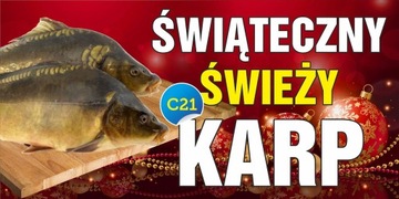 Рекламный баннер - Карп Рождественская РЕКЛАМА 200х100см