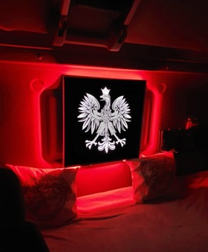 Светодиодная табло TIR Eagle Emblem 50х50см 12-24В с подсветкой над кроватью