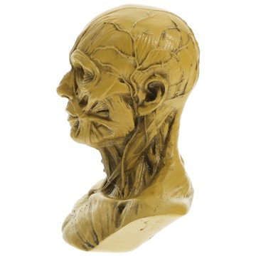 Szkic statua manekin artysta rysunek modelu