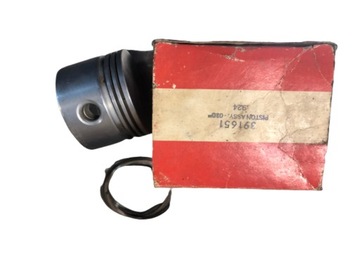Tłok pierścienie Briggs & Stratton 391651