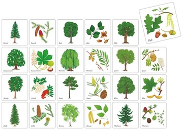 Память Джева Польски Игра на память ADAMIGO