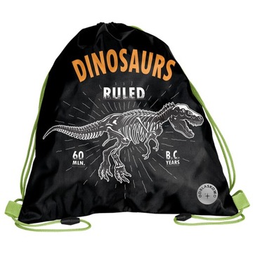 ШКОЛЬНЫЙ РЮКЗАК PASO ДИНОЗАВР 5 EL