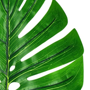 ЛИСТЬЯ ИСКУССТВЕННЫЙ МОНСТР БОЛЬШИЕ 6 ШТ. XXL ДЕКОРАТИВНЫЙ КРЕМ ДЕКОРАТИВНЫЕ ЦВЕТЫ