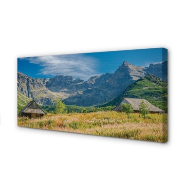 Foto obraz na płótnie Góry pola domki 100x50 cm
